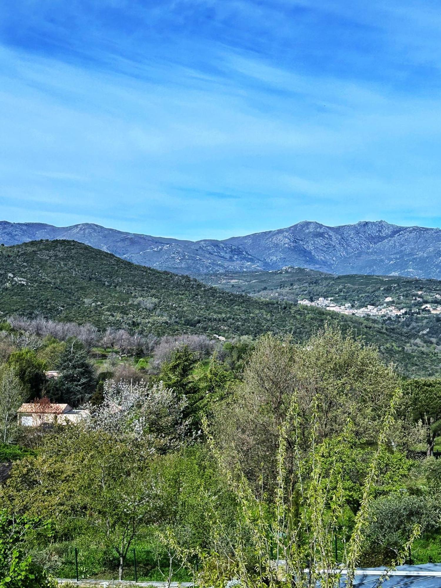 A Villa Di Rutali מראה חיצוני תמונה